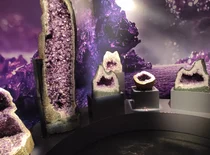 A photo from Justinas' personal archive