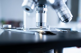 Nanoscale Horizons Emerging Investigator Series: Dr Mindaugas Juodėnas from Kaunas University of Technology