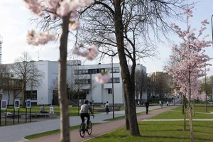 KTU Campus