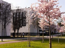 KTU Campus
