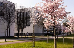 Growing recognition: Kaunas among the world’s best cities for students