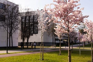 KTU Campus