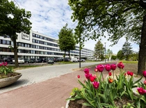 KTU Campus