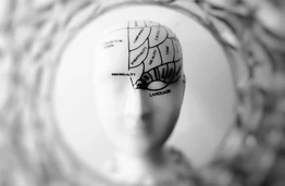 Breakthroughs in neuroscience: New study advances understanding of how the brain works, even when at rest