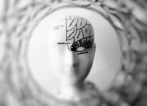 neuroscience KTU
