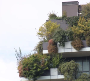 Building with a vertical forest